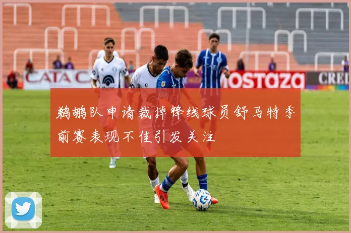 鹈鹕队申请裁掉锋线球员舒马特季前赛表现不佳引发关注