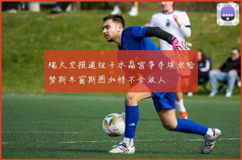瑞天空报道纽卡水晶宫争夺埃尔哈努斯冬窗斯图加特不会放人