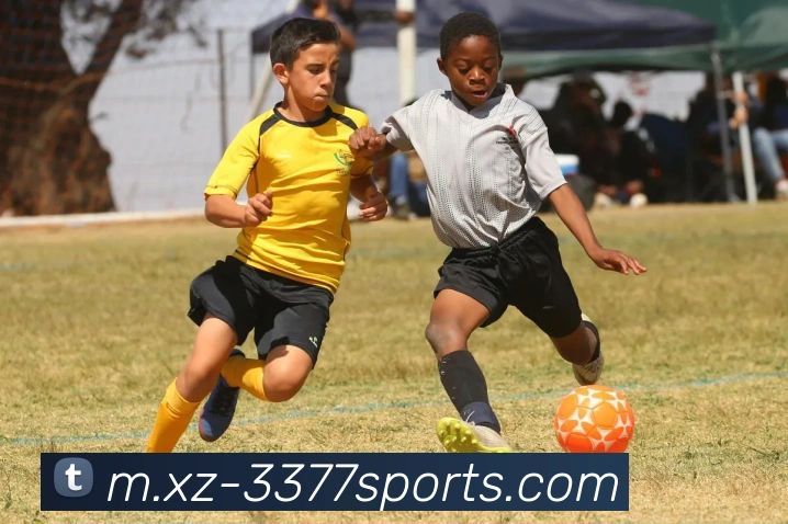 3377体育APP 高清赛事图